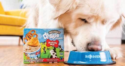 Ben and Jerry’s Released “Doggie Desserts” Because All the Good Dogs Deserve Ice Cream - Coyne PR